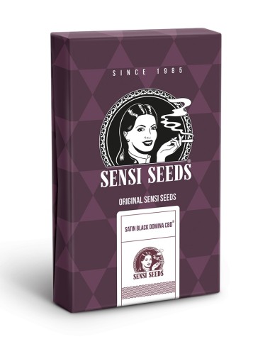 Satin Black Domina CBD Sensi Seeds Feminized Seeds