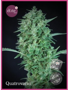 Quatrovarin