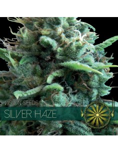Silver Haze