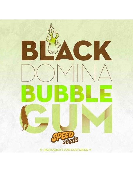Black Domina x Bubble Gum