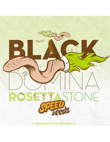 Black Domina x Rosetta Stone
