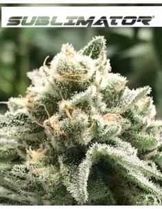 Sublimator 2