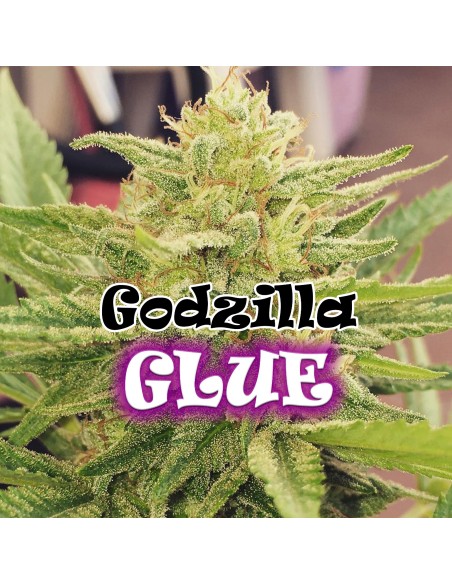 Godzilla Glue