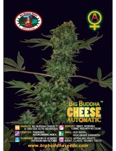 Cheese Automatic 2