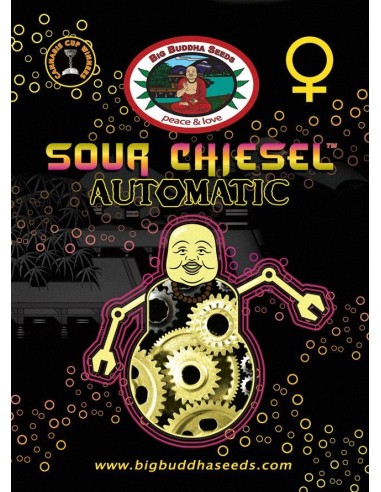 Sour Chiesel Automatic
