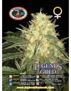 Legends Gold 2