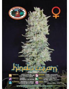 Hindu Cream 2