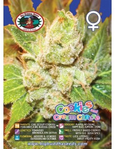 Cookies & Cream Cheese 2