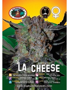 LA Cheese  2