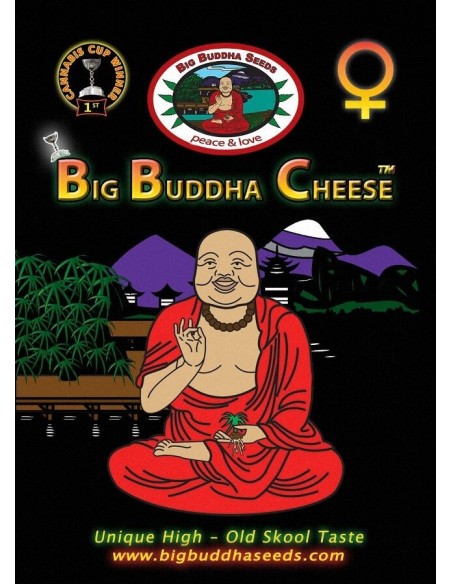 Big Buddha Cheese 