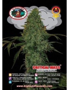 Critical Mass Automatic 2