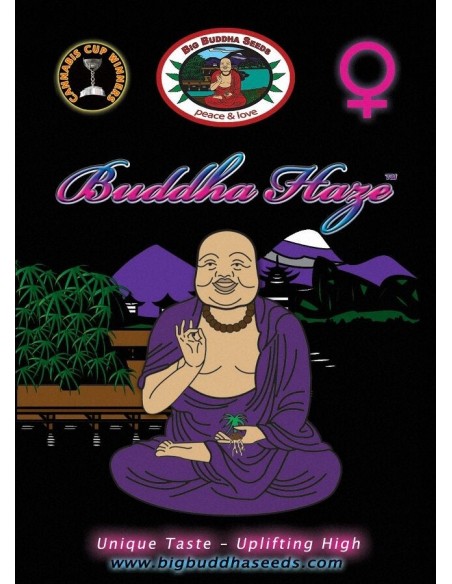Buddha Haze