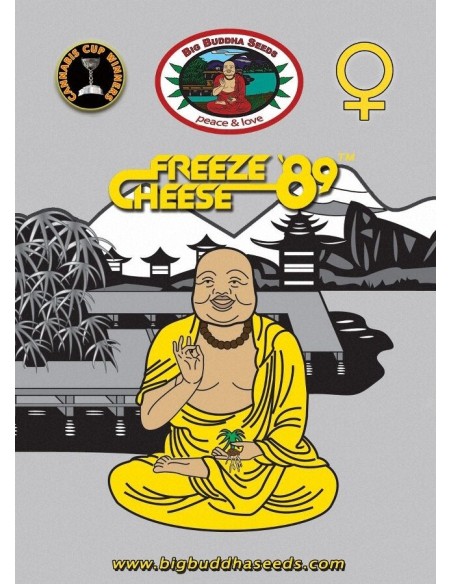 Freeze Cheese 89