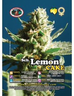 Sch' Lemon Cake 2