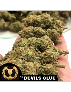 Devil’s Glue