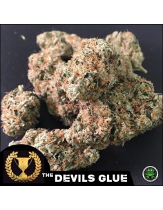 Devil’s Glue 2