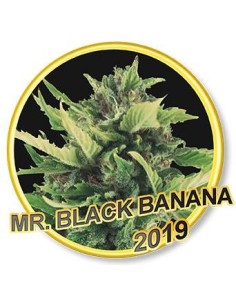 Mr. Black Banana