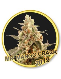 Mr. Mango Crack