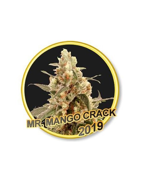 Mr. Mango Crack