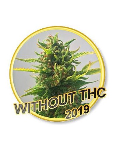 WITHOUT THC