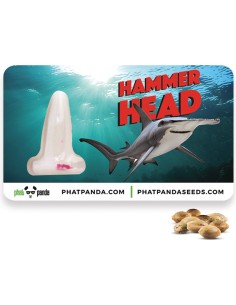 Hammerhead 2
