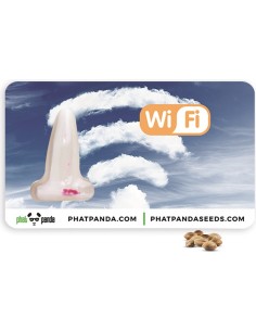 WIFI 2