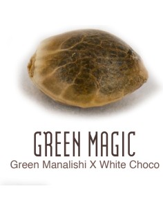 Green Magic 2