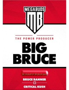 Big Bruce 2