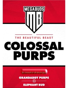 Colossal Purps 2