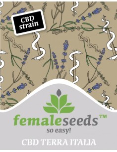 CBD Terra Italia 2