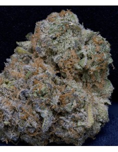 Don Girl Scout Cookies