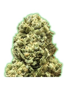 Monster Girl Scout Cookies