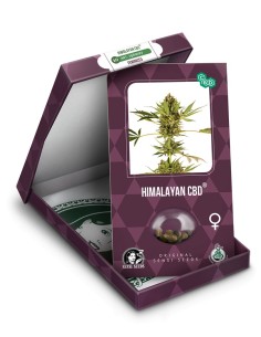 Himalayan CBD 2
