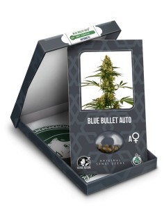 Blue Bullet Auto 2
