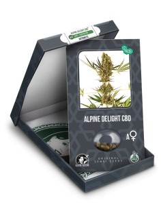 Alpine Delight CBD Auto 2
