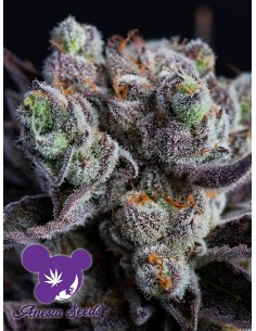 Blackberry Moonrocks 2