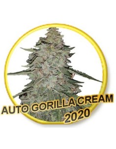 Auto Gorilla Cream