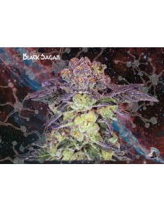 Black Sagan
