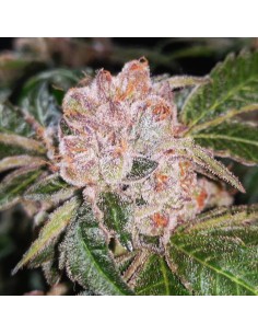 Strawberry Wedding Cake