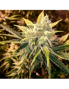 Strawberry Wedding Cake 2