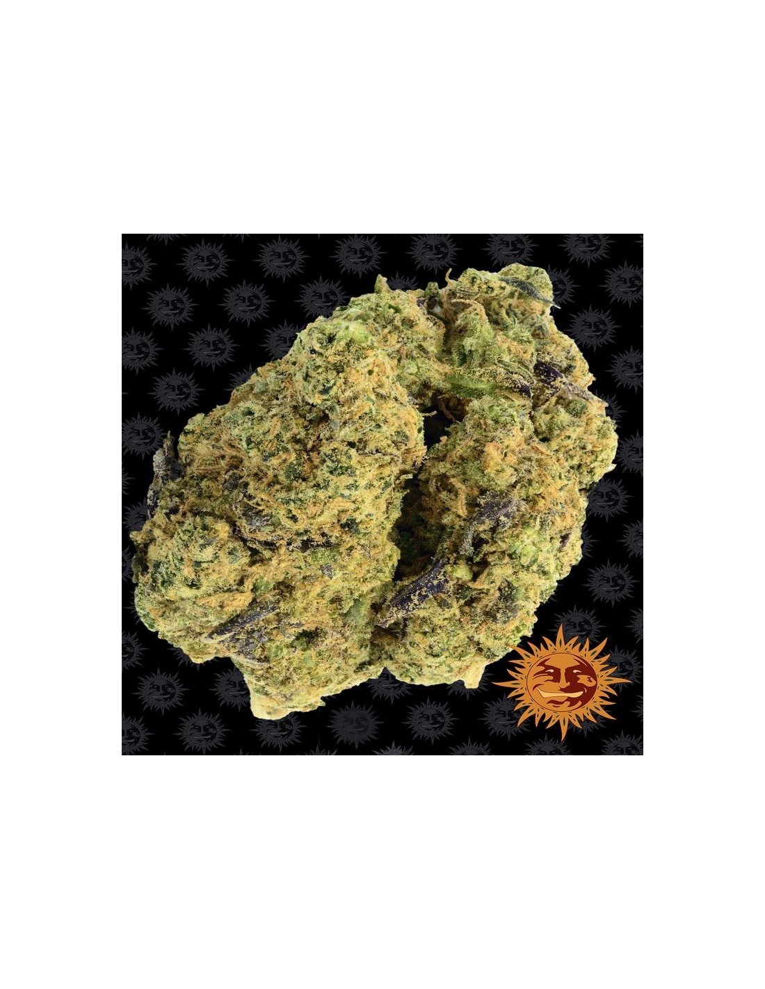 Watermelon Zkittlez Oaseeds