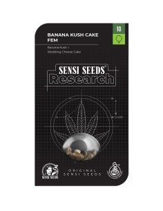 Banana Kush Cake (Sensi Seeds) Feminized Seeds | On Sale! 2