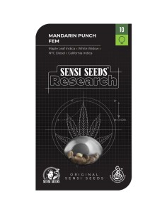 Mandarin Punch (Sensi Seeds) Feminized Seeds | Up To 30% Off 2