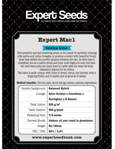 Expert Mac