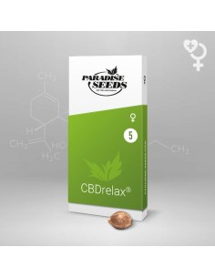 CBDRelax - Paradise Seeds 2
