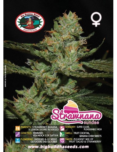 Strawnana Sundae