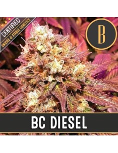 BC Diesel
