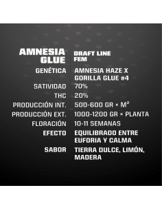 Amnesia Glue 2
