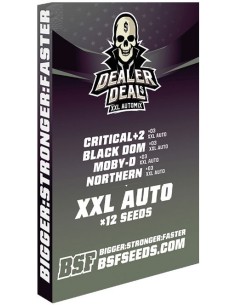 Dealer Deal XXL Automix 2