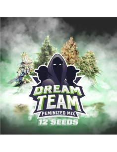 Dream Team Feminized Mix